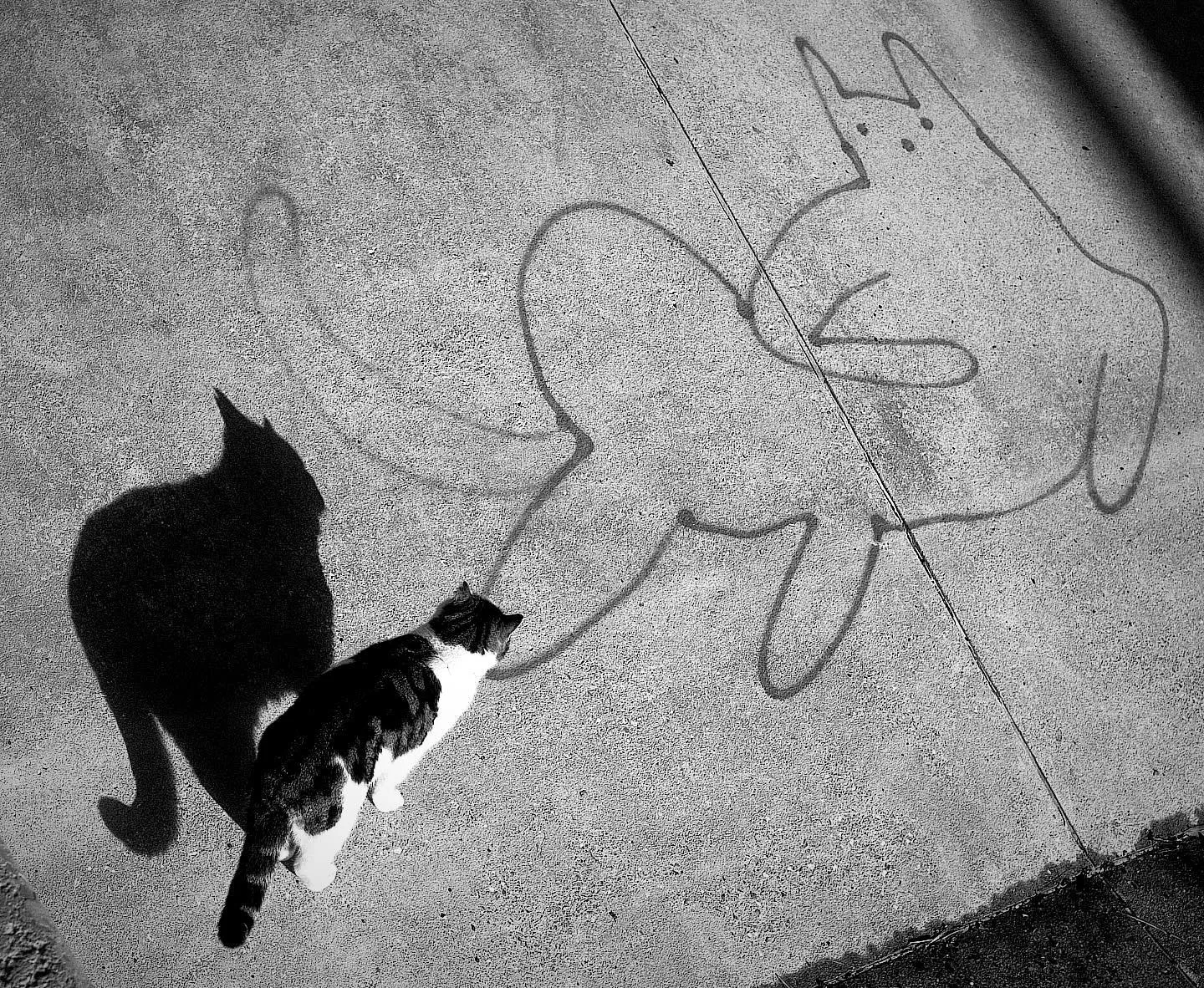 Hey, Slow Down, Stranger, photo 6