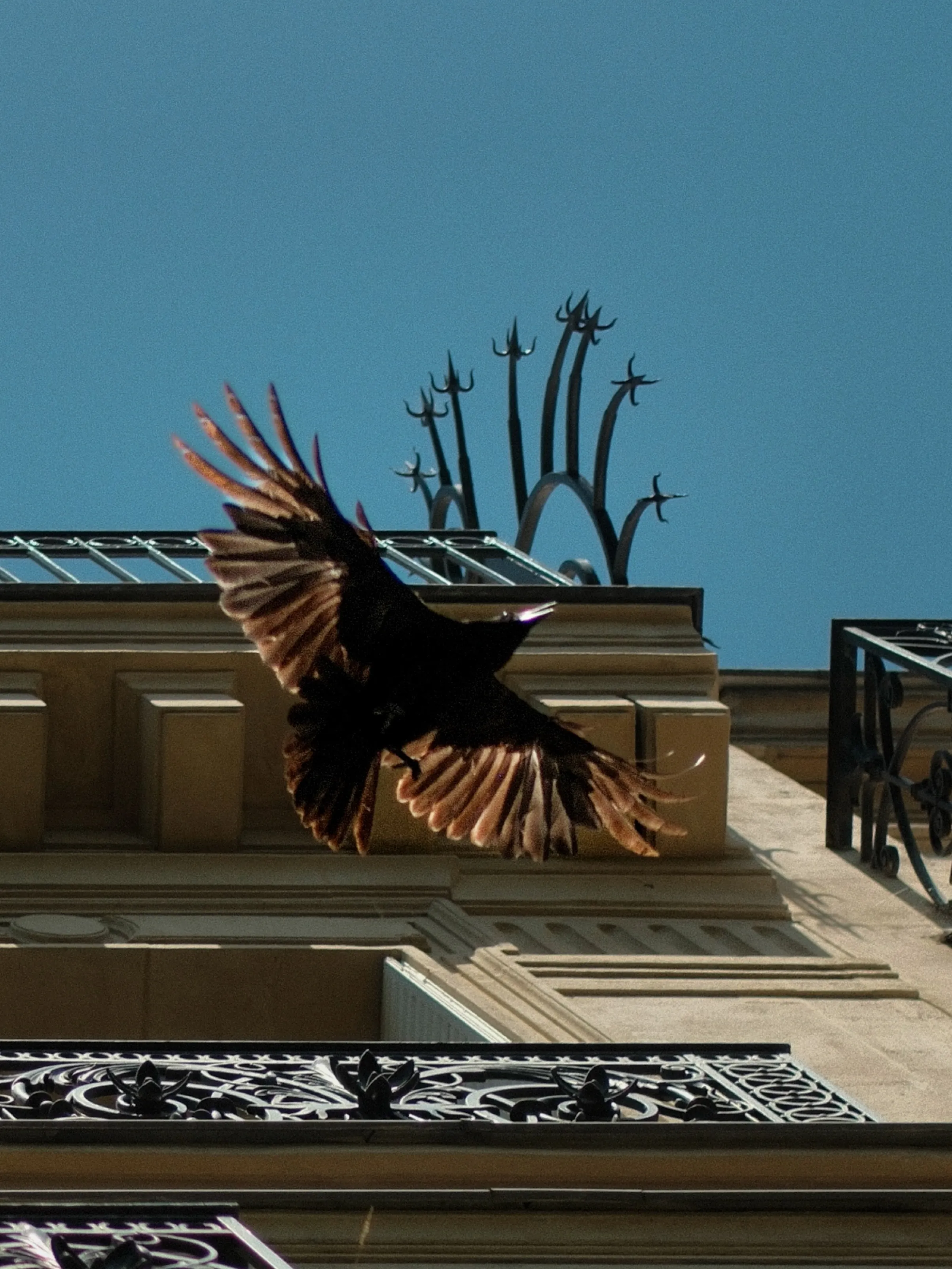 Parisian houses have claws too