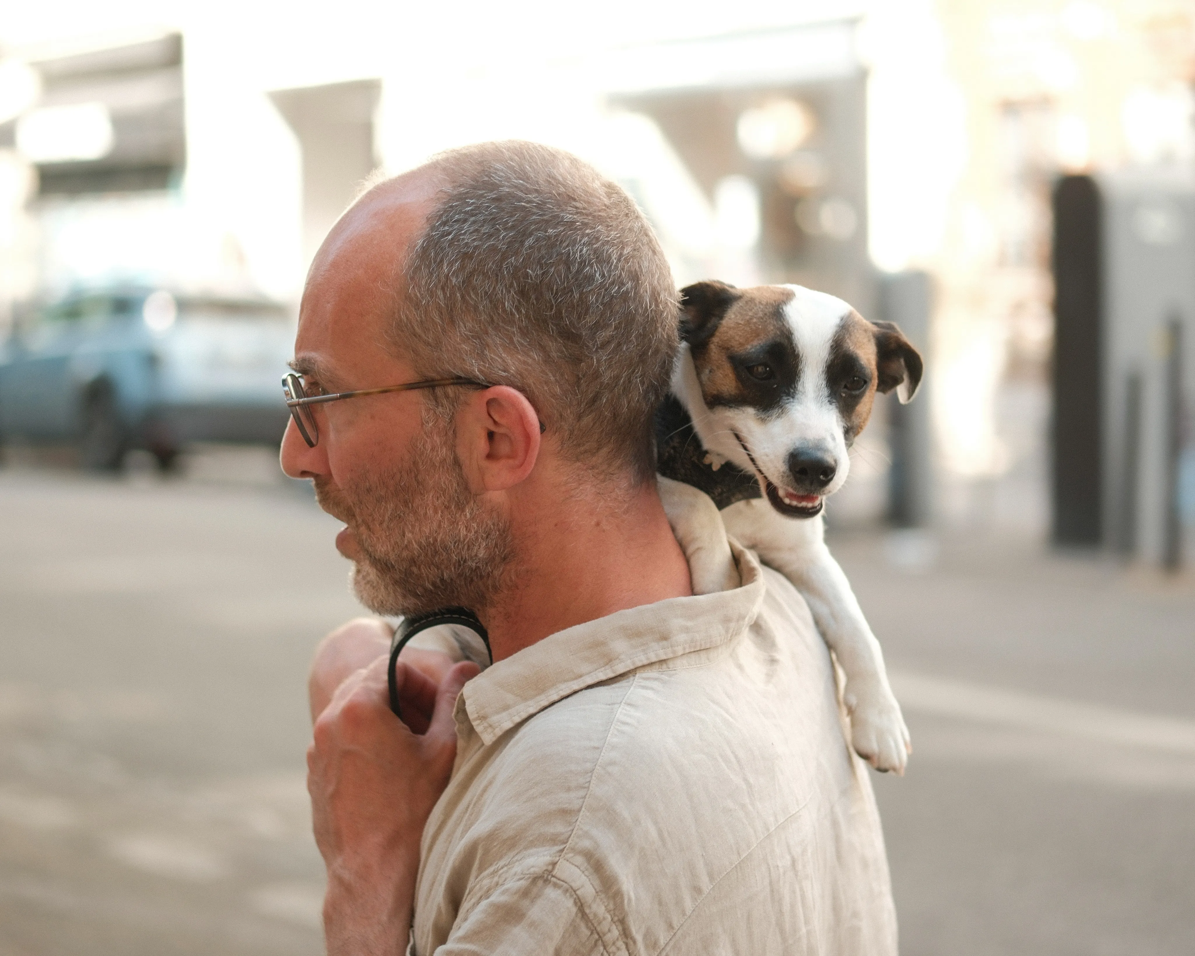 In this heat every terrier deserves a carry-er